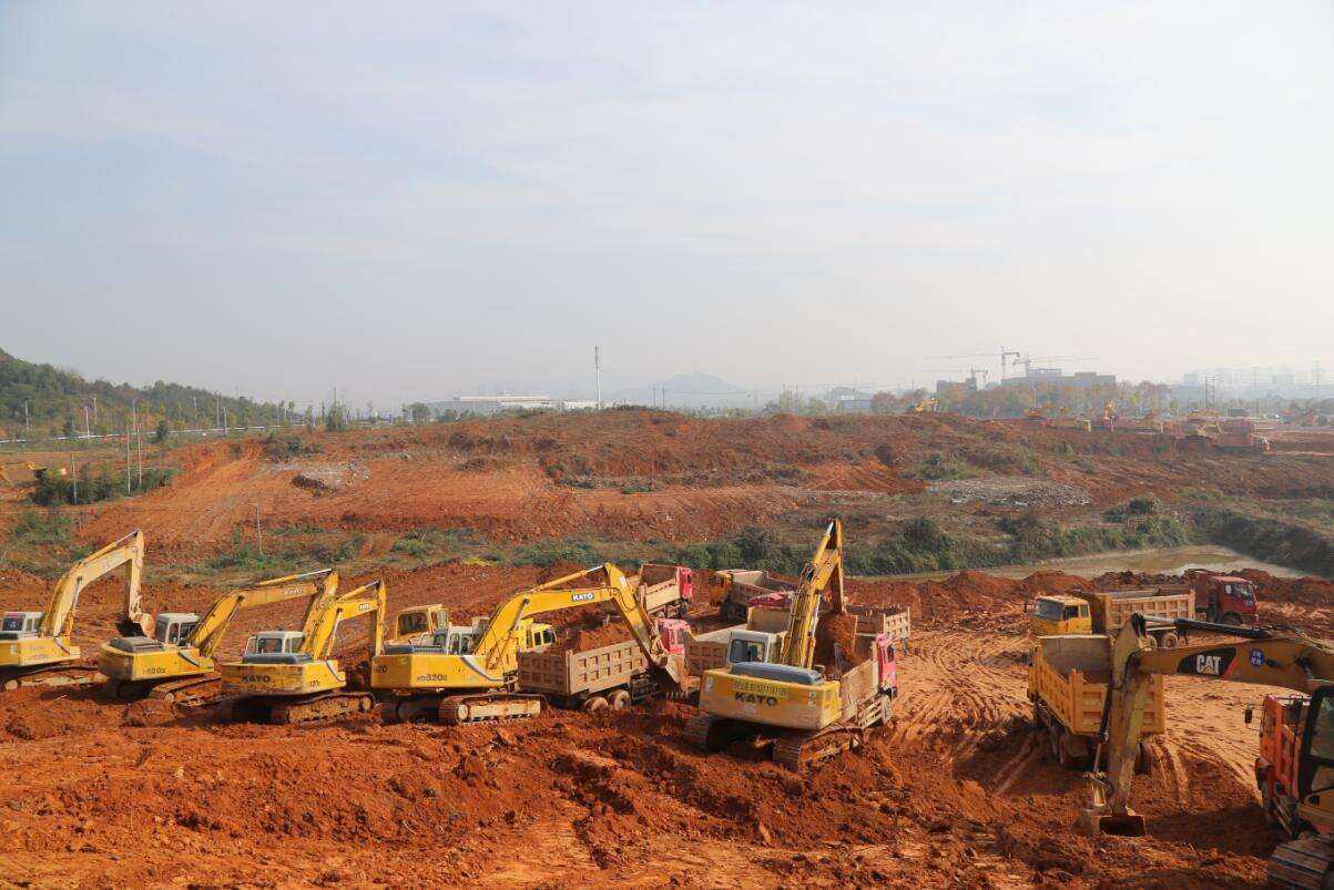 1659506709146634.jpeg 1659506709146634.jpeg